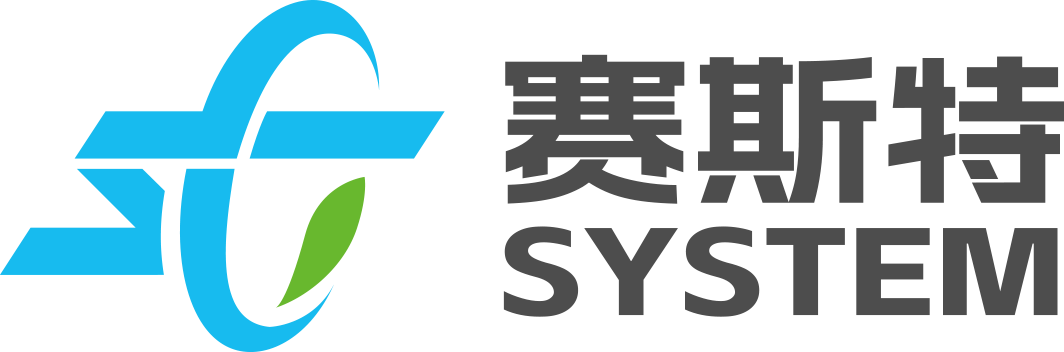 赛斯特